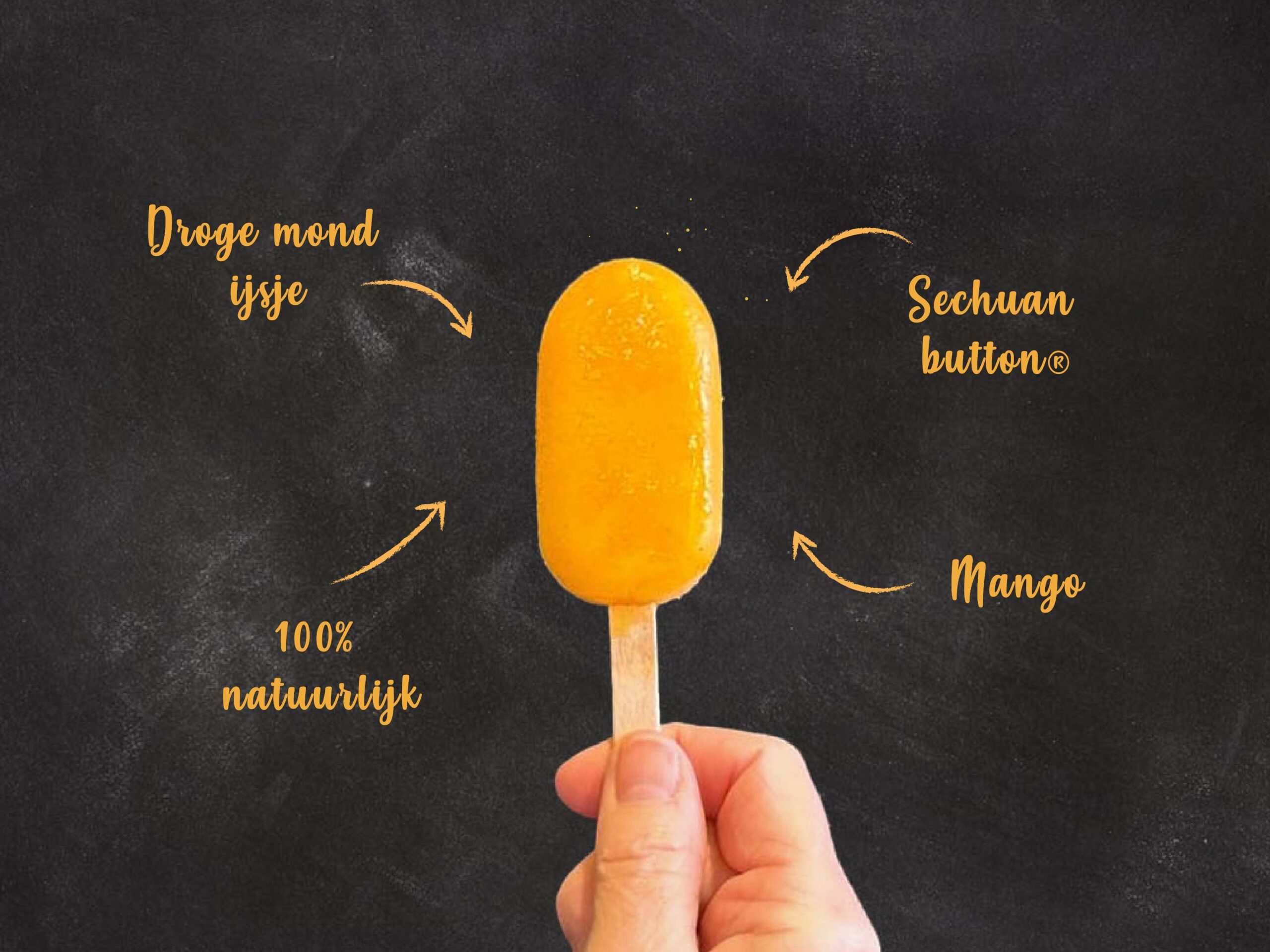 Sechuan Bundel - 5 x 3 Smaken - Afbeelding 2